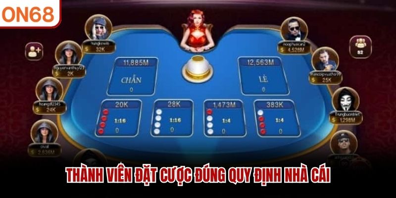 Thành viên đặt cược đúng quy định nhà cái